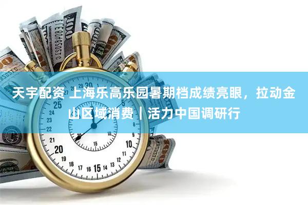 天宇配资 上海乐高乐园暑期档成绩亮眼，拉动金山区域消费｜活力中国调研行