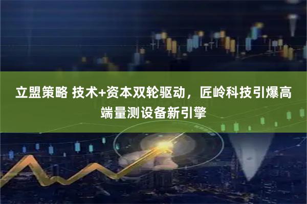 立盟策略 技术+资本双轮驱动，匠岭科技引爆高端量测设备新引擎