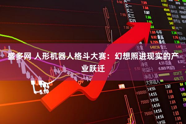 盛多网 人形机器人格斗大赛：幻想照进现实的产业跃迁