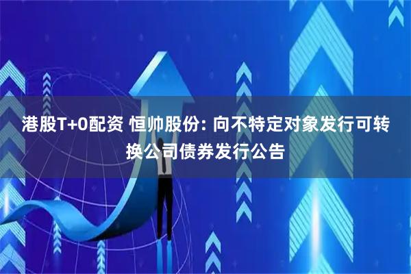 港股T+0配资 恒帅股份: 向不特定对象发行可转换公司债券发行公告