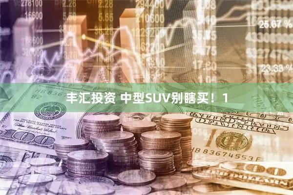 丰汇投资 中型SUV别瞎买!1