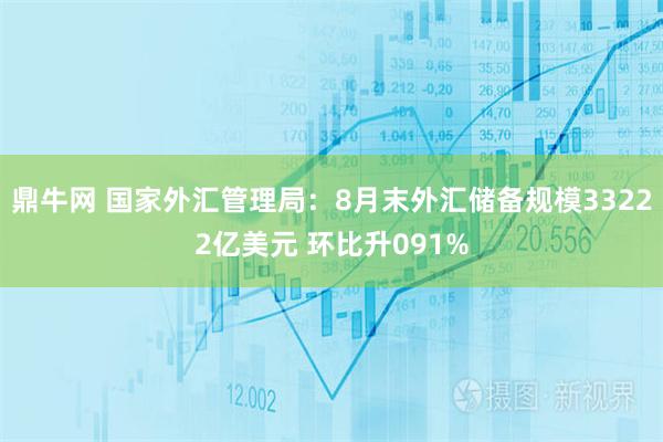 鼎牛网 国家外汇管理局:8月末外汇储备规模33222亿美元 环比升091%